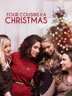 Four Cousins and a Christmas