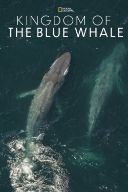 Kingdom of the Blue Whale