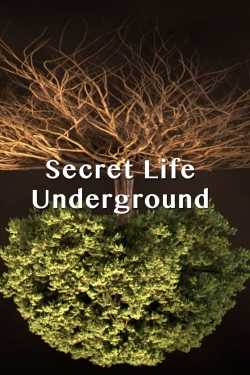 Secret Life Underground